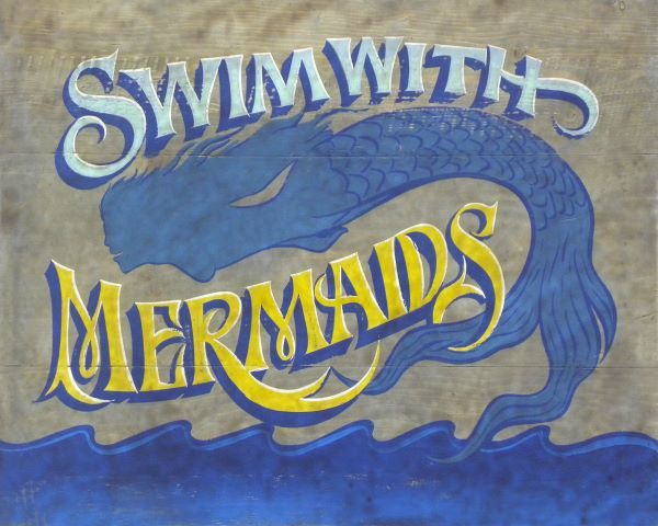 Swim with Mermaids