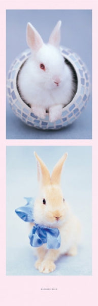Bunnies