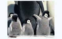 March of the Penguins