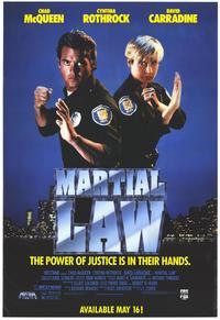 Martial Law II: Undercover