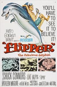 Flipper