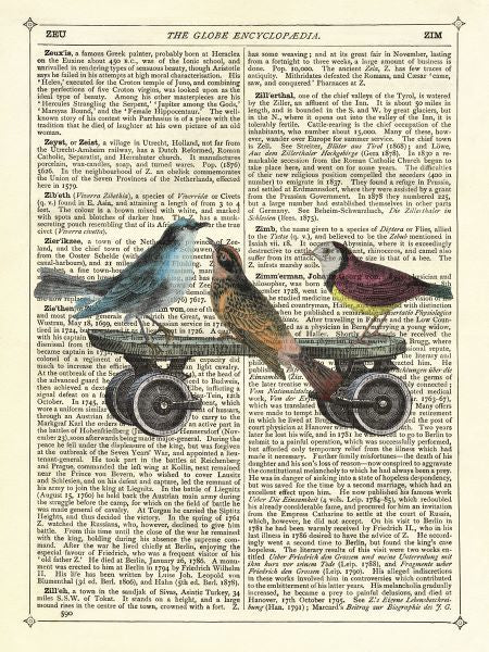 Birds on a Skateboard