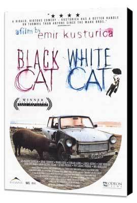 Black Cat, White Cat