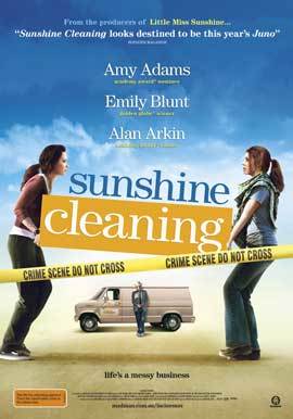 Sunshine Cleaning