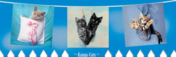 Kanga Cats