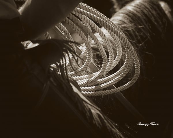 Cowboy Rope