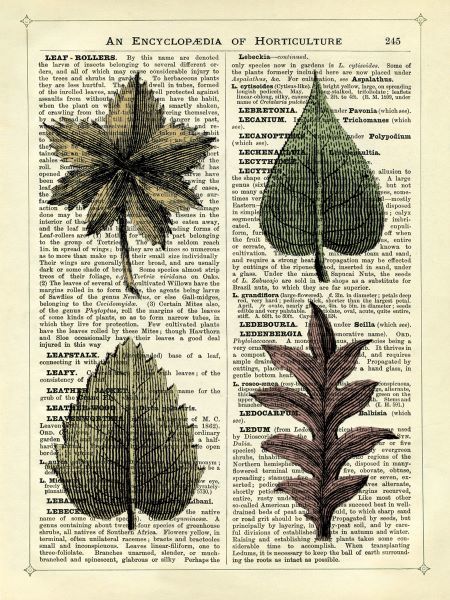 Set of 4 Leaves