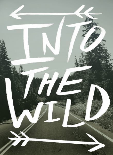 Into the Wild II