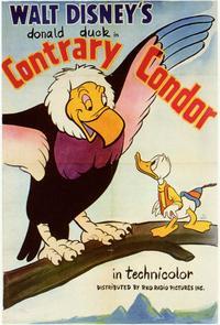 Contrary Condor