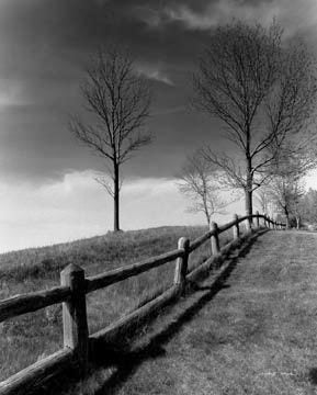 Fences and Trees, Empire, MI