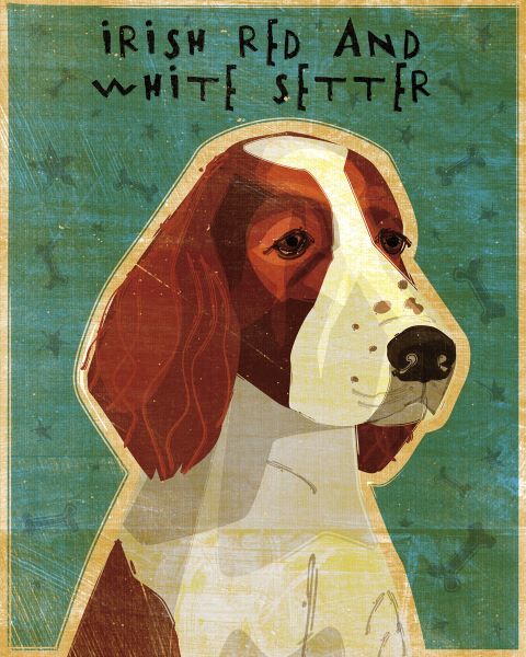 Irish Setter (Red & White)