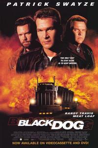 Black Dog