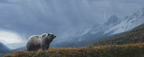 Stormwatch - Grizzly (detail)