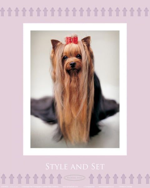 Style And Set