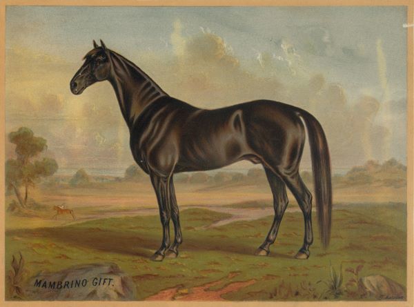 America's Renowned Stallions, c. 1876 II