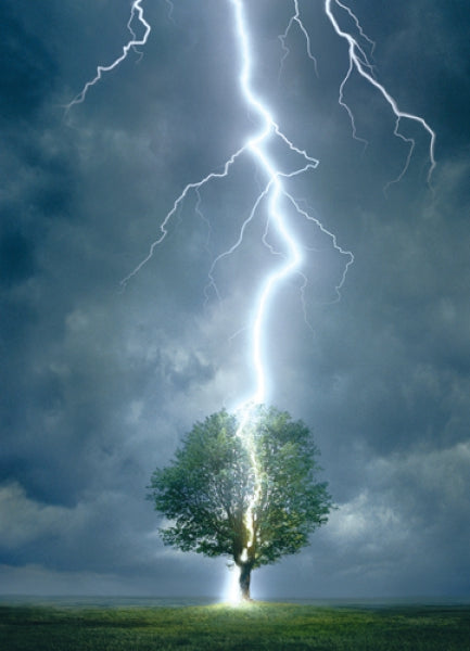 Lightning Striking Tree I