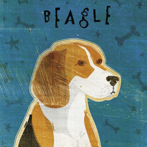Beagle (square)
