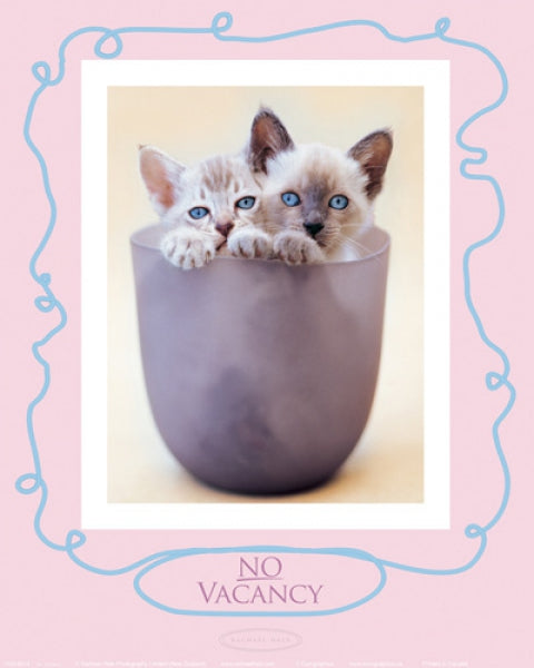 No Vacancy