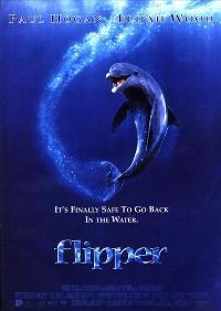 Flipper