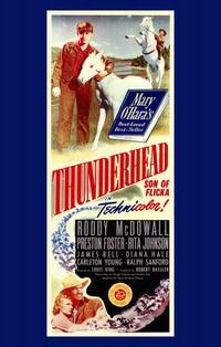 Thunderhead - Son of Flicka