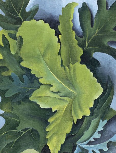 Green Oak Leaves, 1923