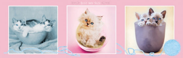 Just My Size