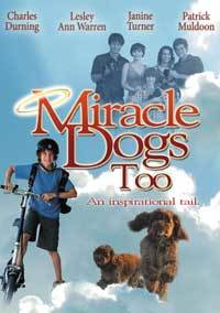 Miracle Dogs Too