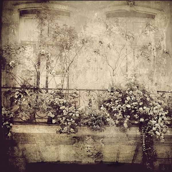Paris Window Garden