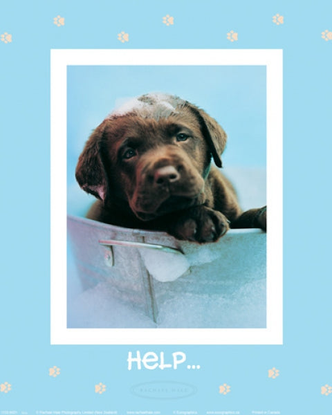 Help...