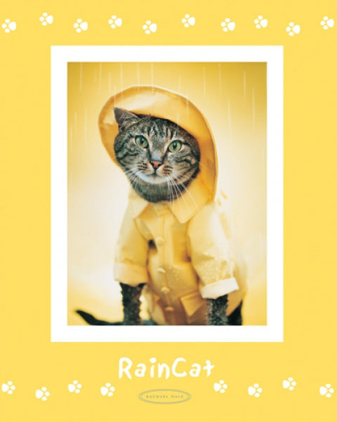 Rain Cat