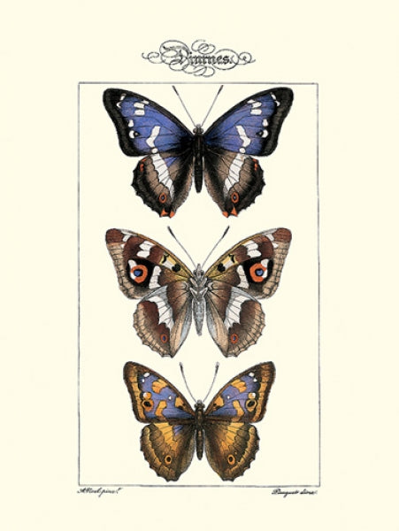 Butterflies II