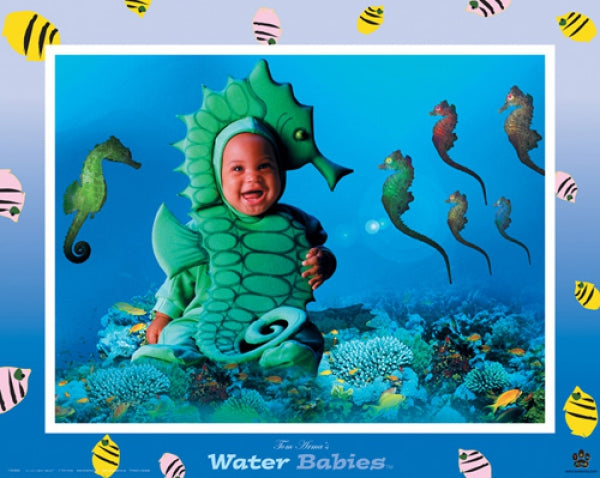 Water Babies - Seahorse