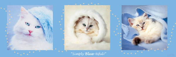 Simply Blue-Tiful