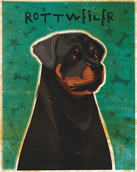 Rottweiler