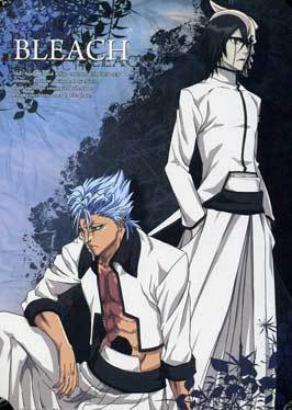 Bleach (TV)