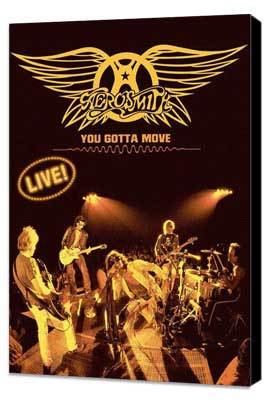 Aerosmith: You Gotta Move