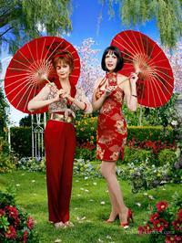 Pushing Daisies (TV)