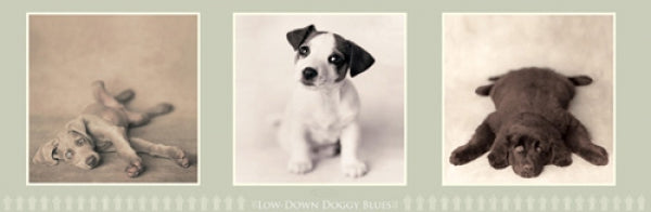 Low-Down Doggy Blues