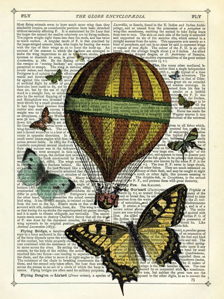 Butterflies & Balloon