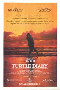 Turtle Diary