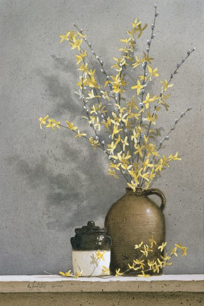 Forsythia