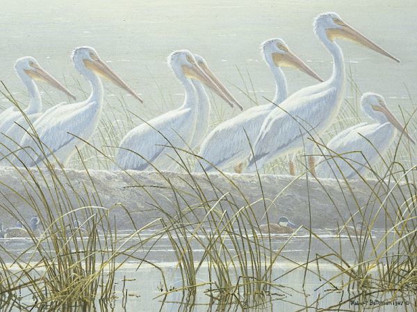 Bounty of the Wetlands (detail)