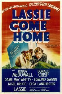 Lassie, Come Home