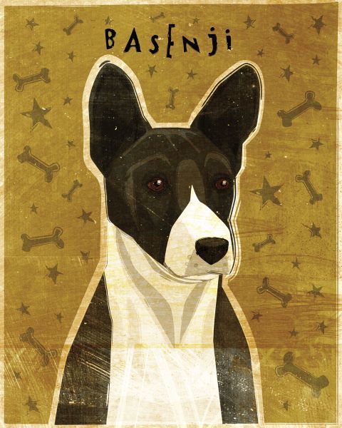 Basenji (Black)