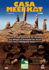 Meerkat Manor (TV)