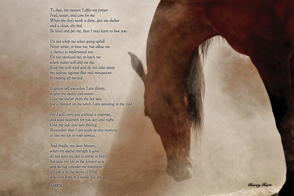 The Horseâ€™s Prayer