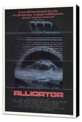 Alligator