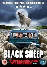 Black Sheep