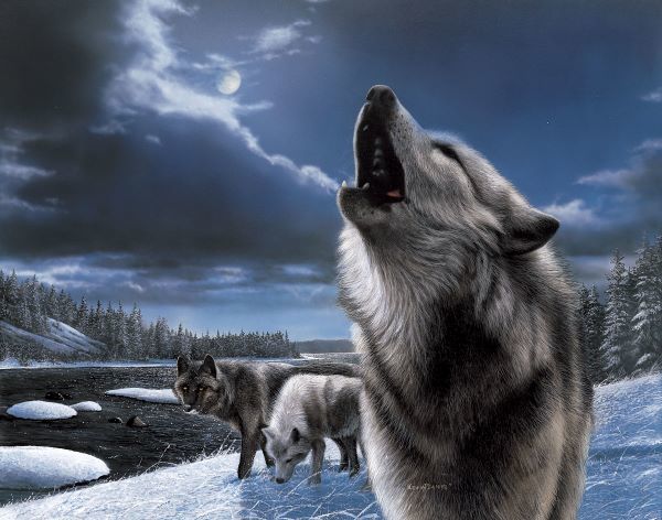 Howling Wolf