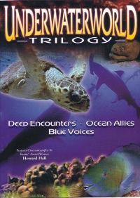 Underwater Impressions